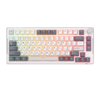 Клавиатура Royal Kludge RK-H81 Blue switch White Night